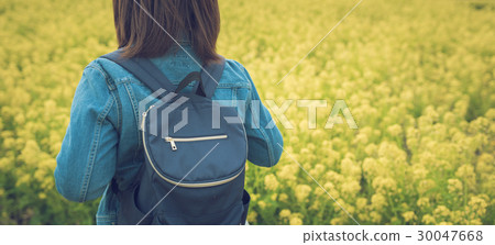 Rapeseed field 30047668