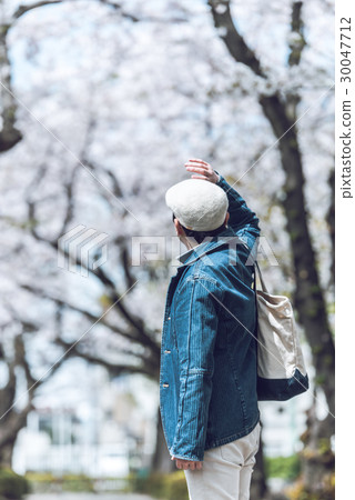 Male cherry blossom 30047712