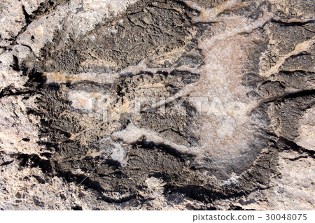 The natural formation of sea salt The natural formation of sea salt 30048075