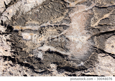 The natural formation of sea salt 30048076