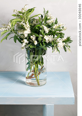 Spring snowflake Leucojum vernum bouquet in glass 30048646