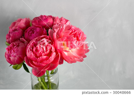 Bouquet of fresh coral peony flowers in glass vase 30048666
