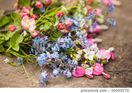 Spring flowers close up 30049570