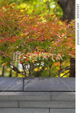 休息室瓦片和Dudanzanti秋葉 30050387