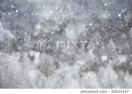 Blurred background defocus 30052447