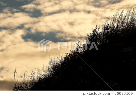 Grass on the slope against the sky 30053109