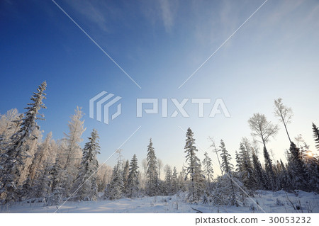 nature landscape winter forest frosted nature landscape winter forest frosted 30053232