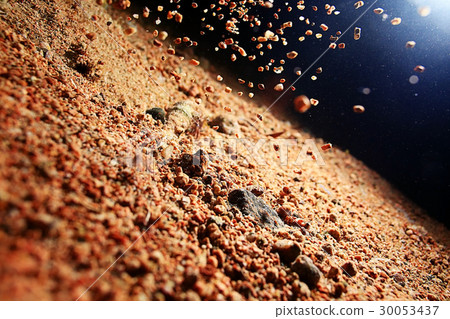 Bottom of the pond sand 30053437