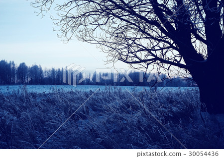 winter night photo 30054436