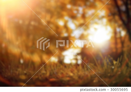 Blurred background defocus Blurred background defocus 30055695