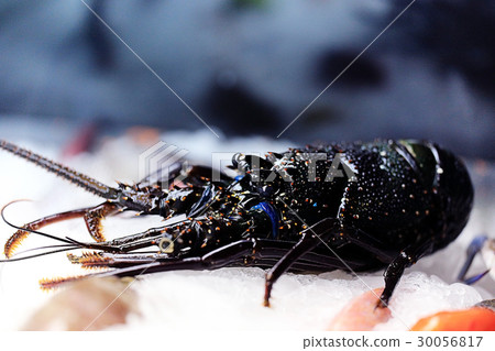 fresh lobster seafood restaurant macro fresh lobster seafood restaurant macro 30056817