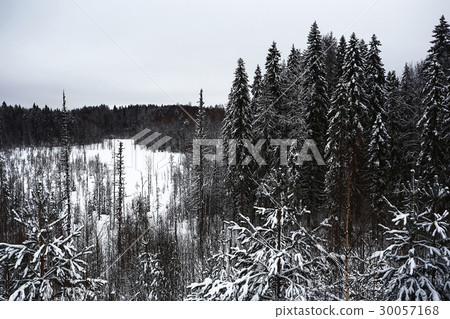 Snow-covered winter russian forest Snow-covered winter russian forest 30057168