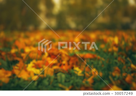 Blurred background defocus 30057249