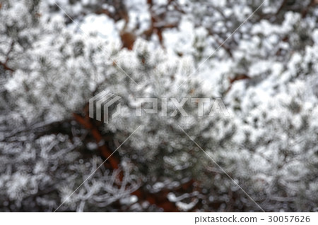 Blurred background defocus 30057626