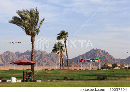 palms grass sky mountains palms grass sky mountains 30057804