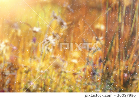 Blurred background defocus Blurred background defocus 30057980
