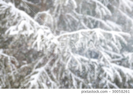 Blurred background defocus Blurred background defocus 30058261