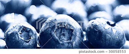 background berries blueberries panorama 30058553