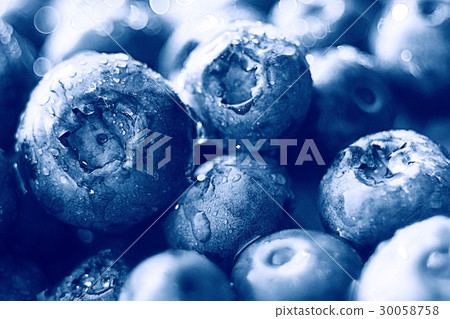 fresh berries blueberries close-up scattered black and white 30058758