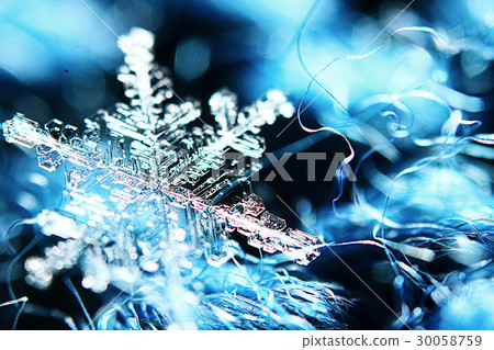 Snowflakes on a blue background 30058759