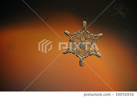 Snowflakes on a blue background Snowflakes on a blue background 30058938