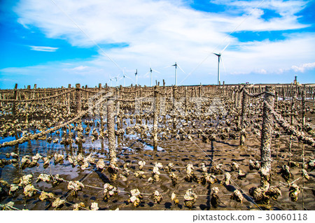 台灣彰化王功漁港Asia Taiwan Changhua fishing port 30060118