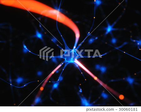 Neurons Electrical Pulses Neurons Electrical Pulses 30060181