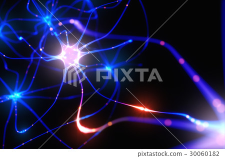 Neurons Electrical Pulses 30060182