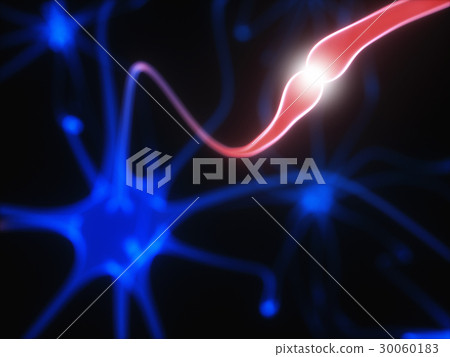 Neurons Electrical Pulses Neurons Electrical Pulses 30060183