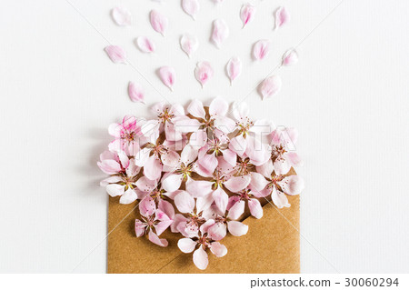 opened craft paper envelope full of spring blossom 30060294