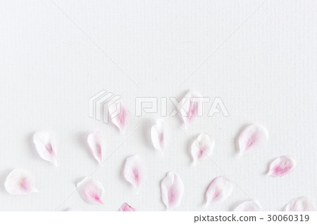 close up top view of light and soft petals of close up top view of light and soft petals of 30060319