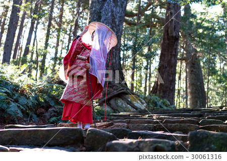 Kumano Kodo Nachi Taisha worship vision image 30061316