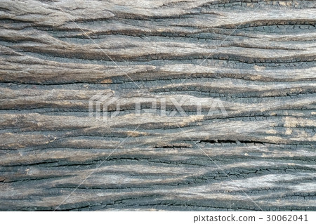 wood board 30062041