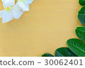 Plumeria flowers and leaves on the wood 30062401