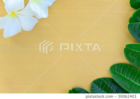 Plumeria flowers and leaves on the wood Plumeria flowers and leaves on the wood 30062401