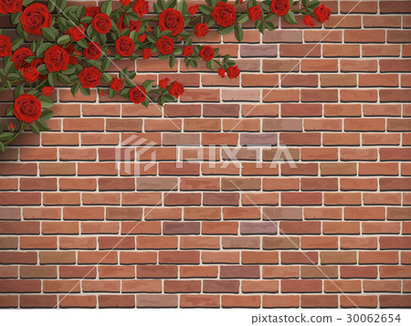 climbing rose on a brick climbing rose on a brick 30062654