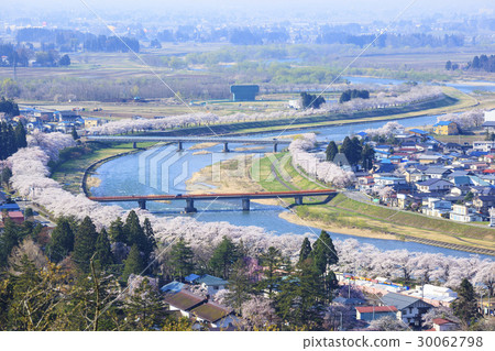Hinoki Uchikawa Tsutsumi櫻花秋田縣仙北市角館鎮 Hinoki Uchikawa Tsutsumi櫻花秋田縣仙北市角館鎮 30062798