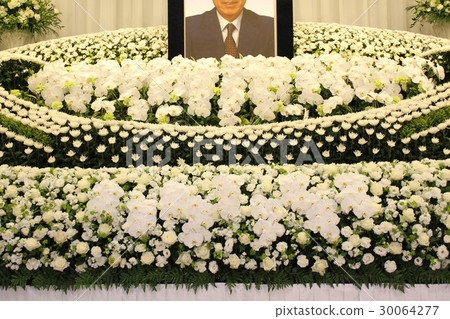 Phalaenopsis orchid full of flower altar 30064277