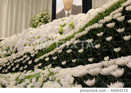 Phalaenopsis orchid full of flower altar Phalaenopsis orchid full of flower altar 30064278