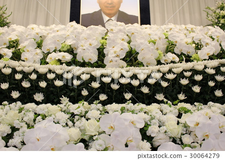 Phalaenopsis orchid full of flower altar 30064279