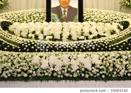 充分蘭花植物蘭花花法壇 充分蘭花植物蘭花花法壇 30064280