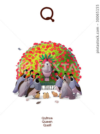English Alphabet (Amusing Animals) letter Q 1/26 30065155
