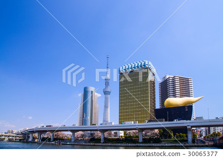 Near Sumida Park, the season of cherry blossoms Near Sumida Park, the season of cherry blossoms 30065377