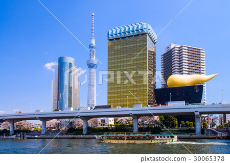 Near Sumida Park, the season of cherry blossoms Near Sumida Park, the season of cherry blossoms 30065378