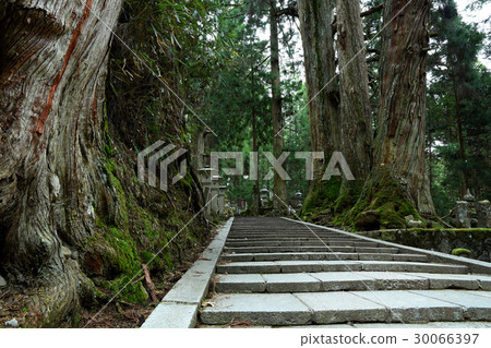 Koyasan Koyasan 30066397