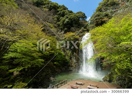 Waterfall of Minoo, Minoo Park, Osaka Prefecture Waterfall of Minoo, Minoo Park, Osaka Prefecture 30066399