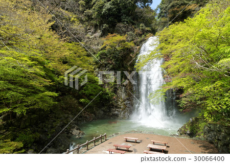 Waterfall of Minoo, Minoo Park, Osaka Prefecture 30066400