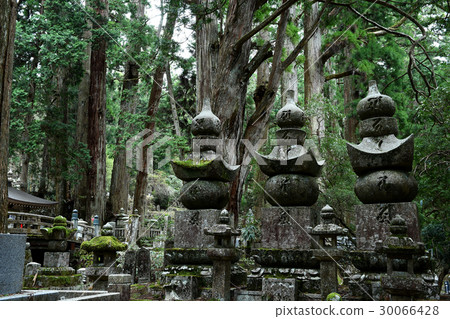 Koyasan Okunoin途徑景觀 30066428