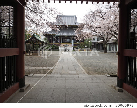 青山/善光寺 30066975