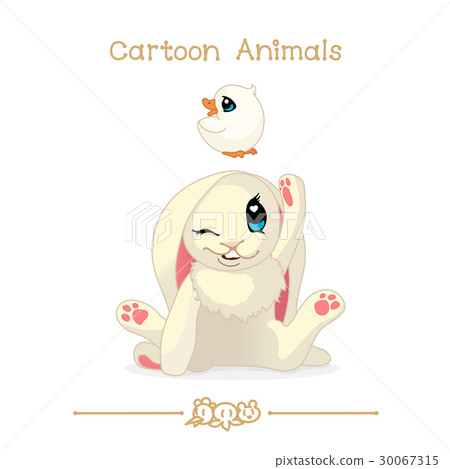 Funny bunny 30067315